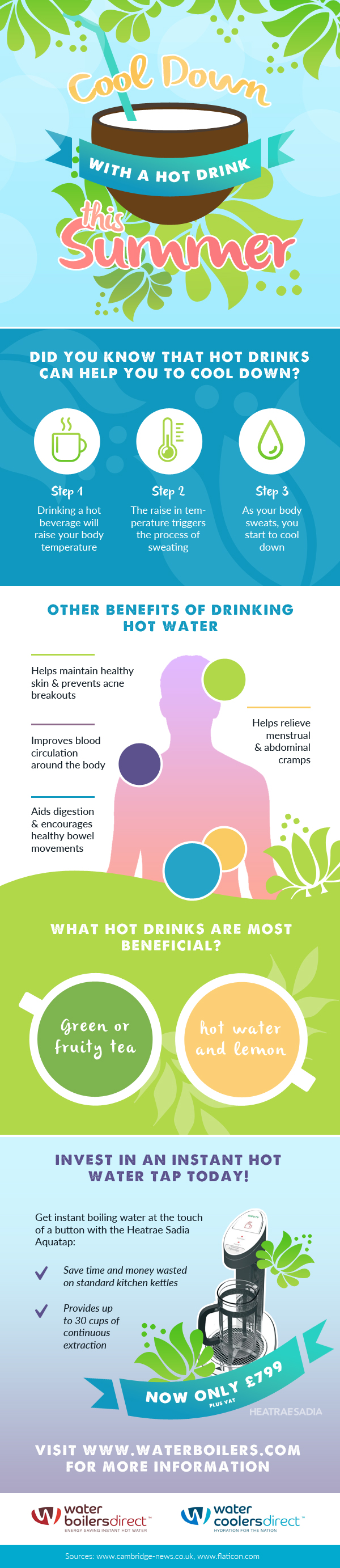 Hot Drink Infographic