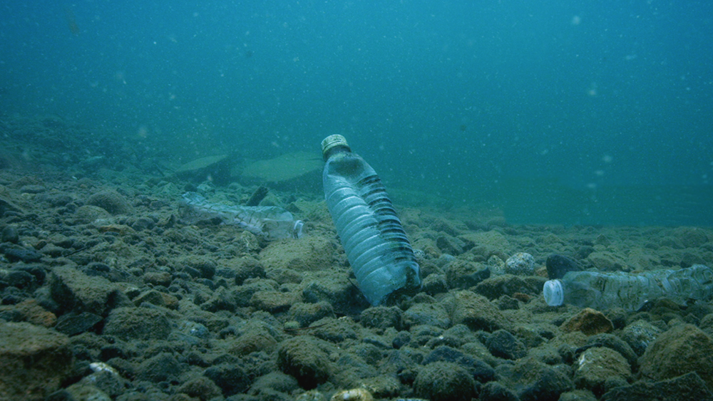 plastic bottle in ocean