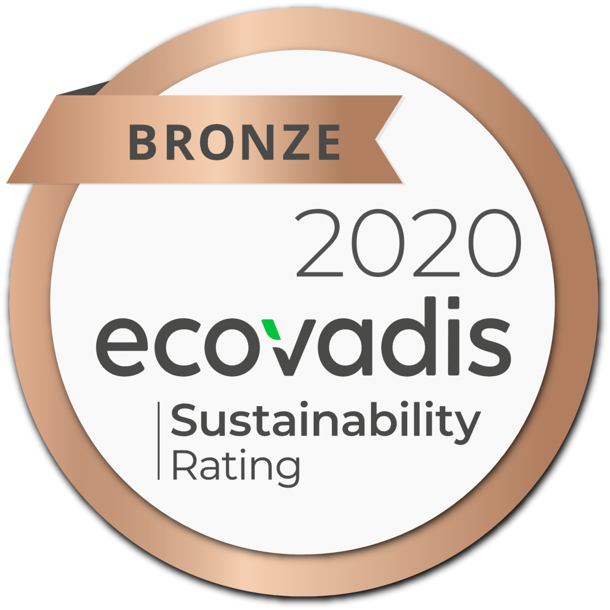 Why Ecovadis sustainability assessments matter?