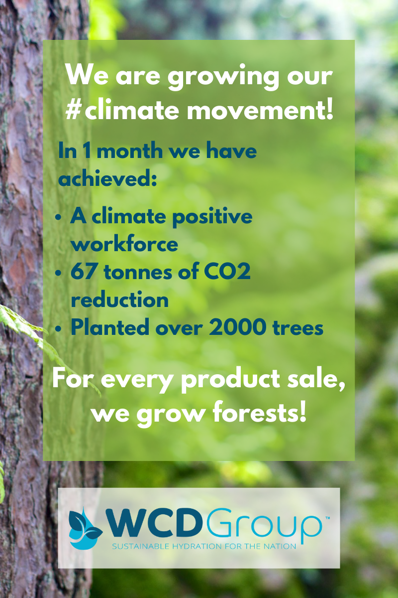 Why planting trees helps reduce CO2
