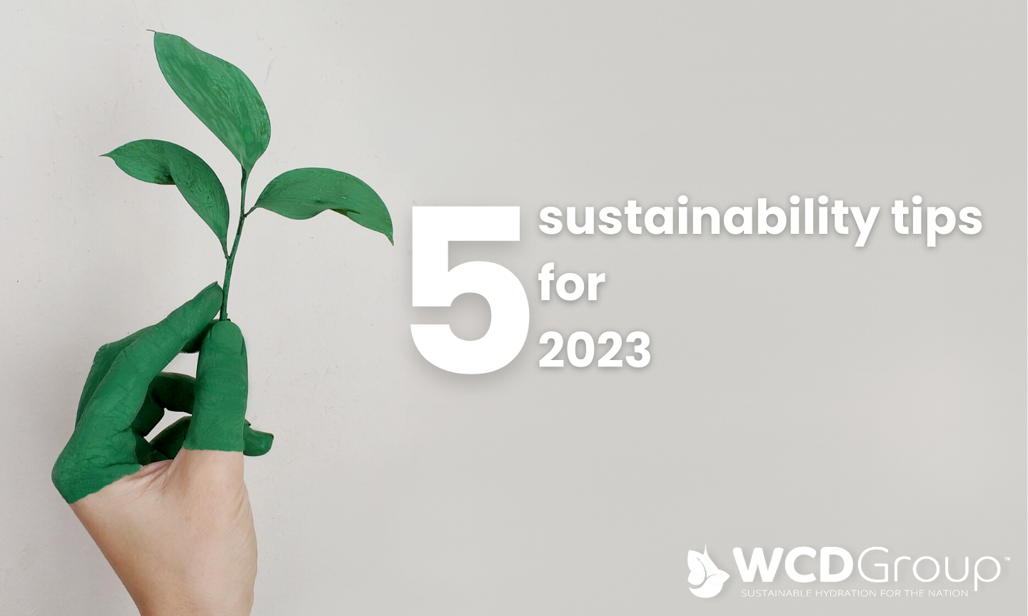 5 sustainability tips for 2023